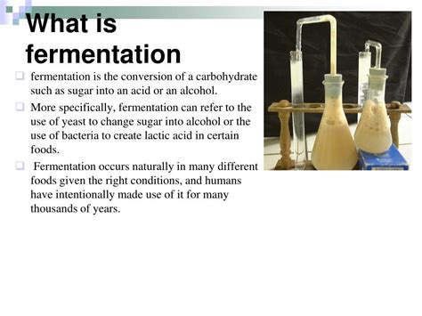 Fermentation Zur Lebensmittelerhaltung Ppt