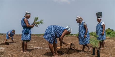 The Unique Challenge Of Small Island Developing States Unops