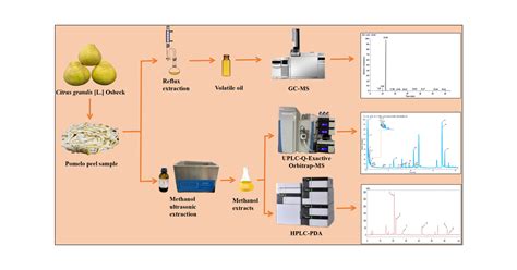 Qualitative And Quantitative Analyses Of The Chemical Components Of