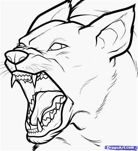 Mad Dog Drawing At Getdrawings Free Download