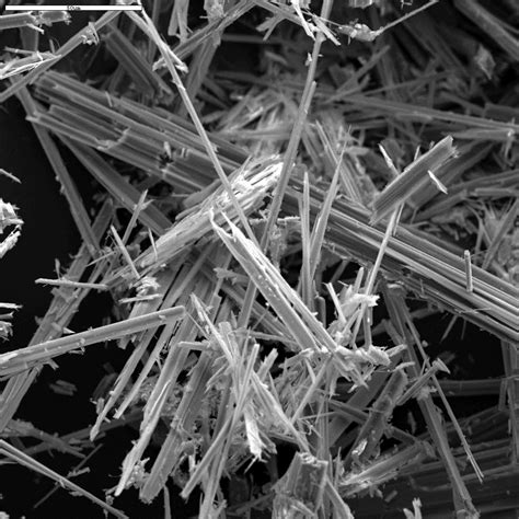 Anthophyllite Asbestos Scanning Electron Microscopy (SEM) | Flickr