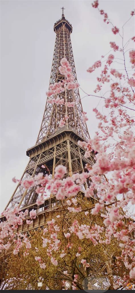 Paris Wallpaper Paris Wallpaper Pink Paris Wallpaper Eiffel Tower Photography