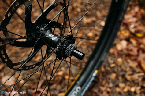 The Lab Dt Swiss Ex Spline Wheelset In Review We Tested The