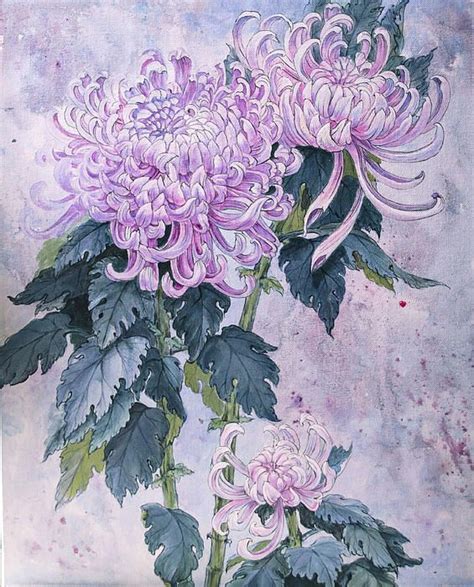 http://fineartamerica.com/featured/japanese-chrysanthemum-series-part-1 ...