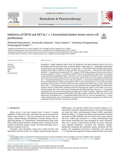 Pdf Inhibition Of Csf R And Akt By Kusunokinin Hinders Breast