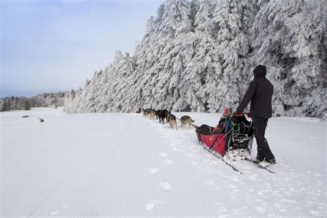 Balades et randonnées en chien de traineau en Auvergne