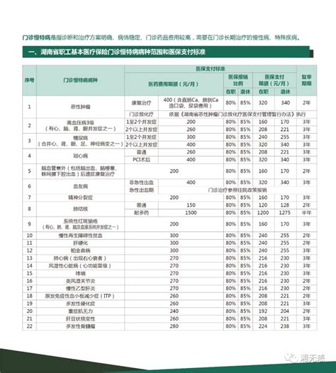 湖南省职工基本医疗保险慢特病门诊待遇政策宣传手册