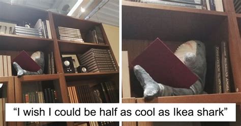 22 Times Ikea Customers Spotted Shark Plushies Doing Human Things” At