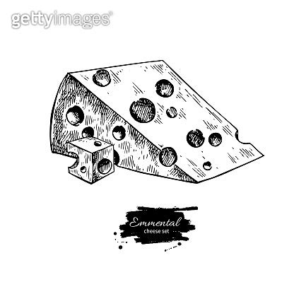 Emmental Cheese Drawing Vector Hand Drawn Food Sketch Engraved