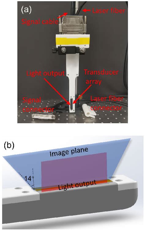 Figure From A Low Cost High Sensitivity Endoscopic Probe For Real