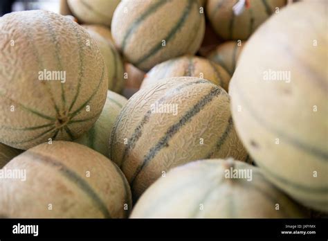 Mature Melons Stock Photos Mature Melons Stock Images Alamy