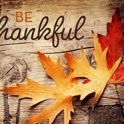 Top 104+ Pictures What Are You Thankful For Images Excellent