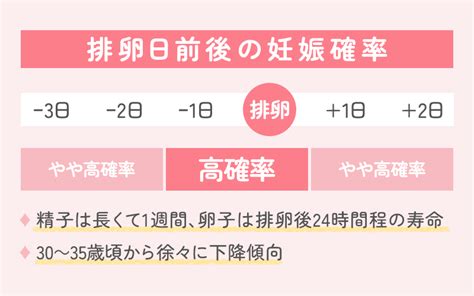 排卵日は生理の何日前？排卵から生理までの日数【公式】池袋アイリス婦人科クリニック