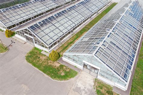 Essential Considerations of Greenhouse Lightning Design