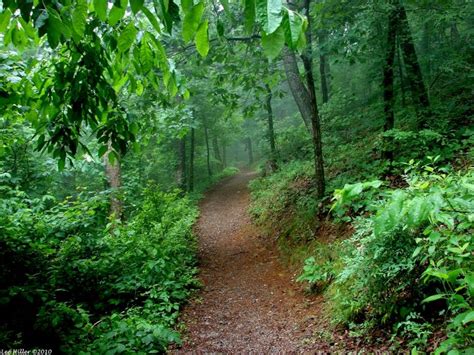 Spring Hot Springs Mountain Trail in Hot Springs National Park Arkansas ...