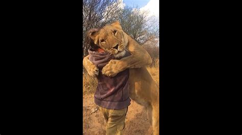 Incredible Lion Emotional And Human Friendship Best Video Youtube