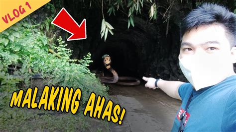 Muntik Na Ako Matuklaw Ng Ahas Sa Kwebang Ito Travel Vlogs 1 YouTube