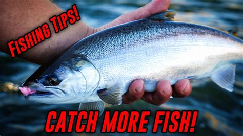 How To BACK BOUNCE Eggs For Salmon Trout Steelhead SUPER