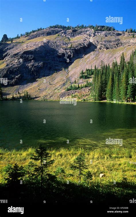 Malheur National Forest Hi Res Stock Photography And Images Alamy