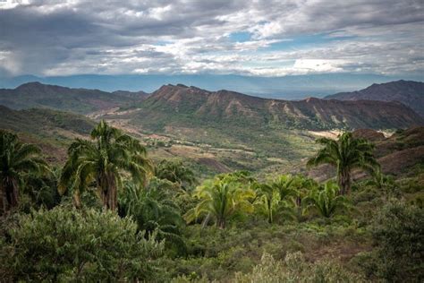 Colombia Iniciativas Comunitarias Para Conservar Los Bosques Secos