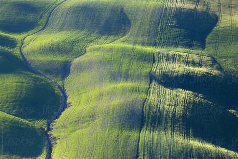 Green Velvet By Stocksy Contributor Marcin Sobas Stocksy