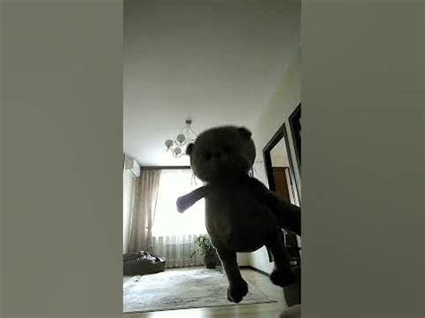бдыщь🤐😶🤥 - YouTube