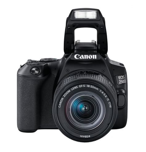 Im Test: Canon EOS 250D - fotoMAGAZIN