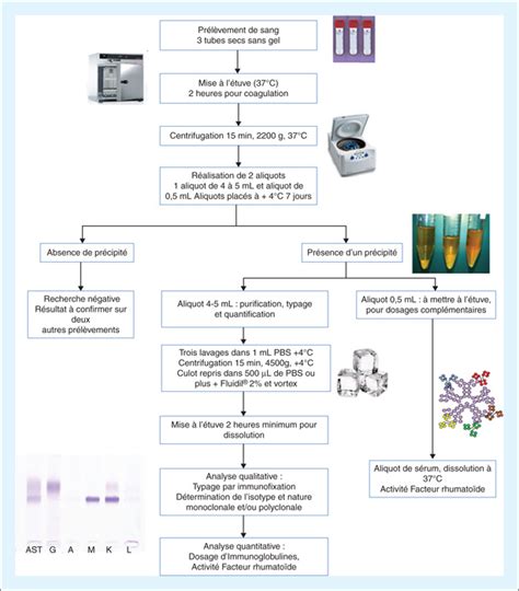 Jle Annales De Biologie Clinique Accr Ditation Des Cryoglobulines