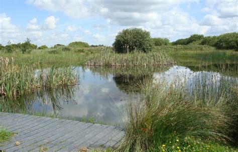 Wexford Wildfowl Reserve