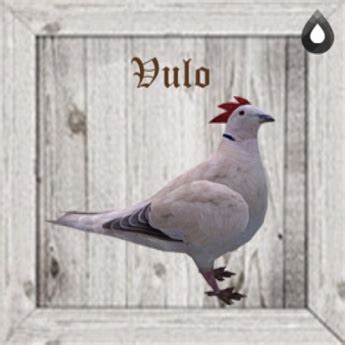 Second Life Marketplace - 50x Chicken / Vulo