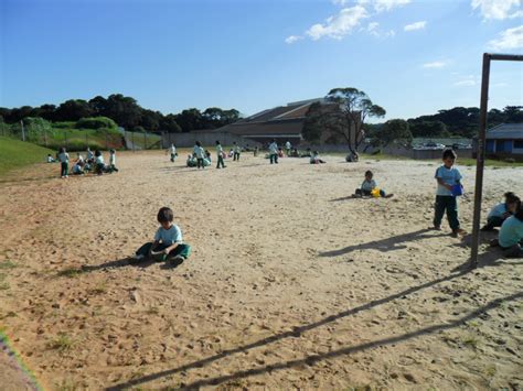 Escola Primeiro De Maio - Escola Municipal Primeiro de Maio: Nossas Atividades