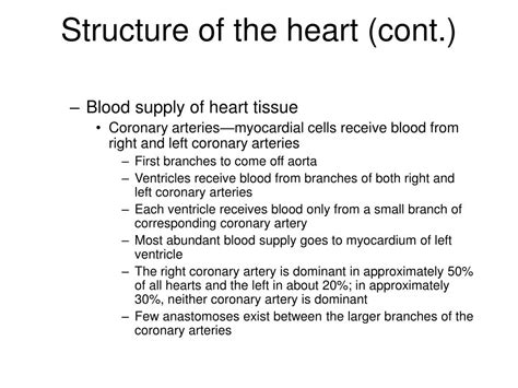 Ppt Chapter Anatomy Of The Cardiovascular System Powerpoint