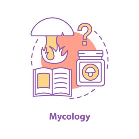 Top 60 Mycology Clip Art, Vector Graphics and Illustrations - iStock