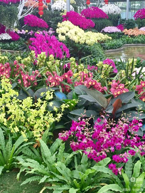 陈村花场出租陈村花卉世界附近陈村花卉世界附近顺德菜 丫空间