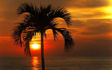 Burning Orange Sky Stock Image Image Of Places Clouds 99468809