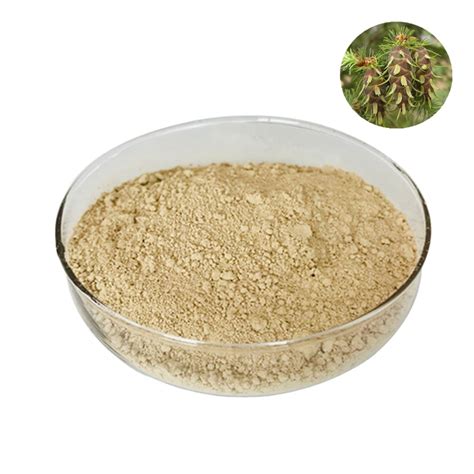 100 Natural Sophora Japonica Extract Dihydroquercetin Quercetin Powder