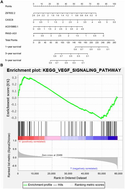 A Novel Risk Score Model Based On Four Angiogenesis Long Non Coding