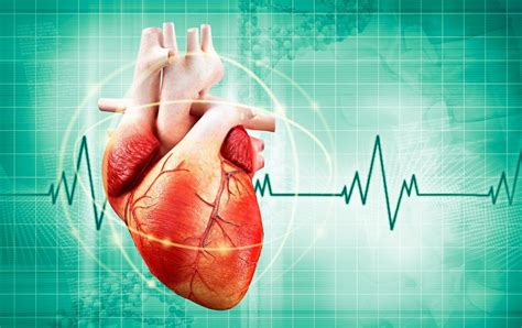 Cardiopatia O Que Causas Sintomas E Tratamentos Dicas De Sa De