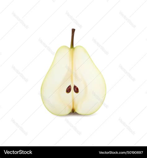 Ripe Raw Realistic Green Pear Fruit 3d Half Vector Image