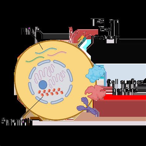 Single Cell RNA Seq Singulomics Corporation