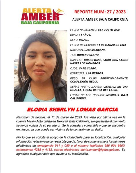 Alerta Amber Para Localizar A Eloidia Lomas Periodismo Negro