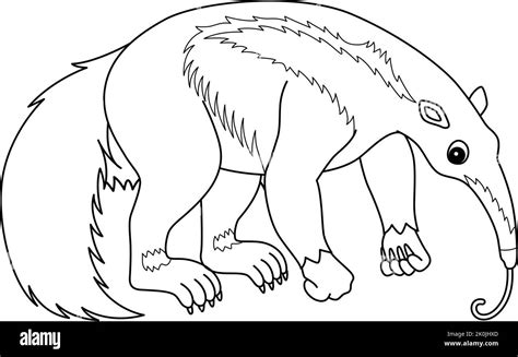 Anteater Coloring Pages Ant Clipart Drawing Outline Hill Giant Cliparts Porn Sex Picture