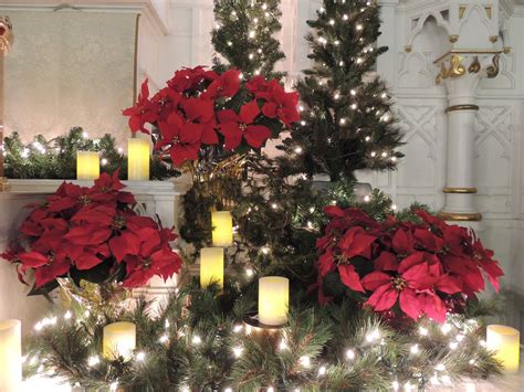 Like The Spread Spacing Of Poinsettias And Candles And Twinkle Lights