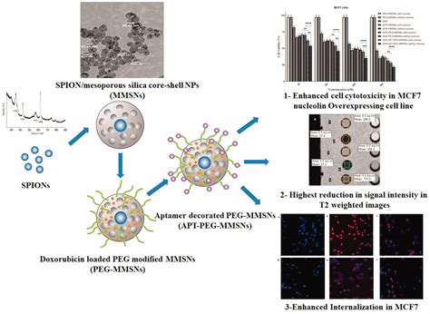 Pegylated Magnetic Mesoporous Silica Nanoparticles Decorated With