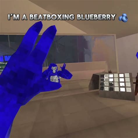 Beatboxing Blueberry I Was Glitching At The Start Gorrillatag Vr