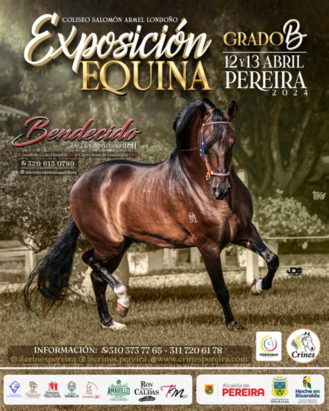 Exposicion Equina Grado B Pereira Crines Pereira