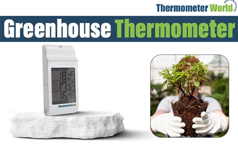 Digital Max Min Greenhouse Thermometer Max Min Thermometer To Monitor