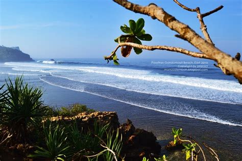 Pantai Gondo Mayit Pesona Tersembunyi Blitar Selatan Manusia Lembah