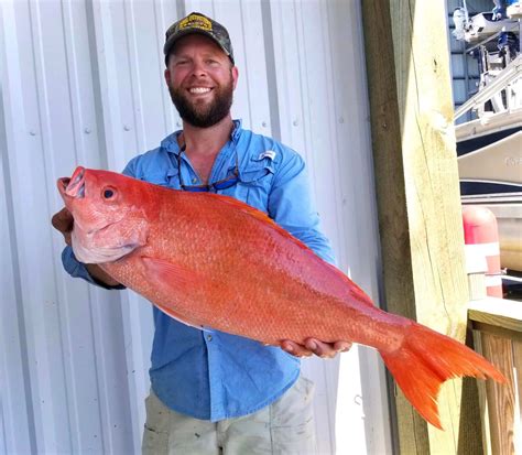 Red Snapper Vs Vermilion Snapper