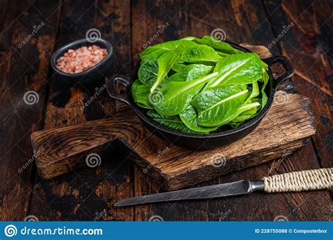 Baby Romain Green Salad Leaves In Pan Dark Wooden Background Stock